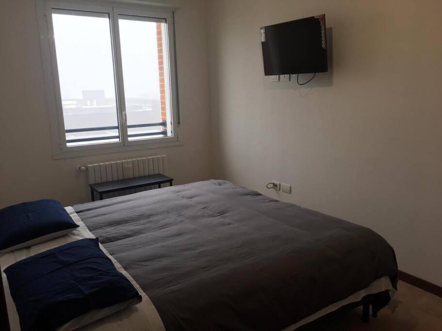 G&G Apartment Bologna Esterno foto